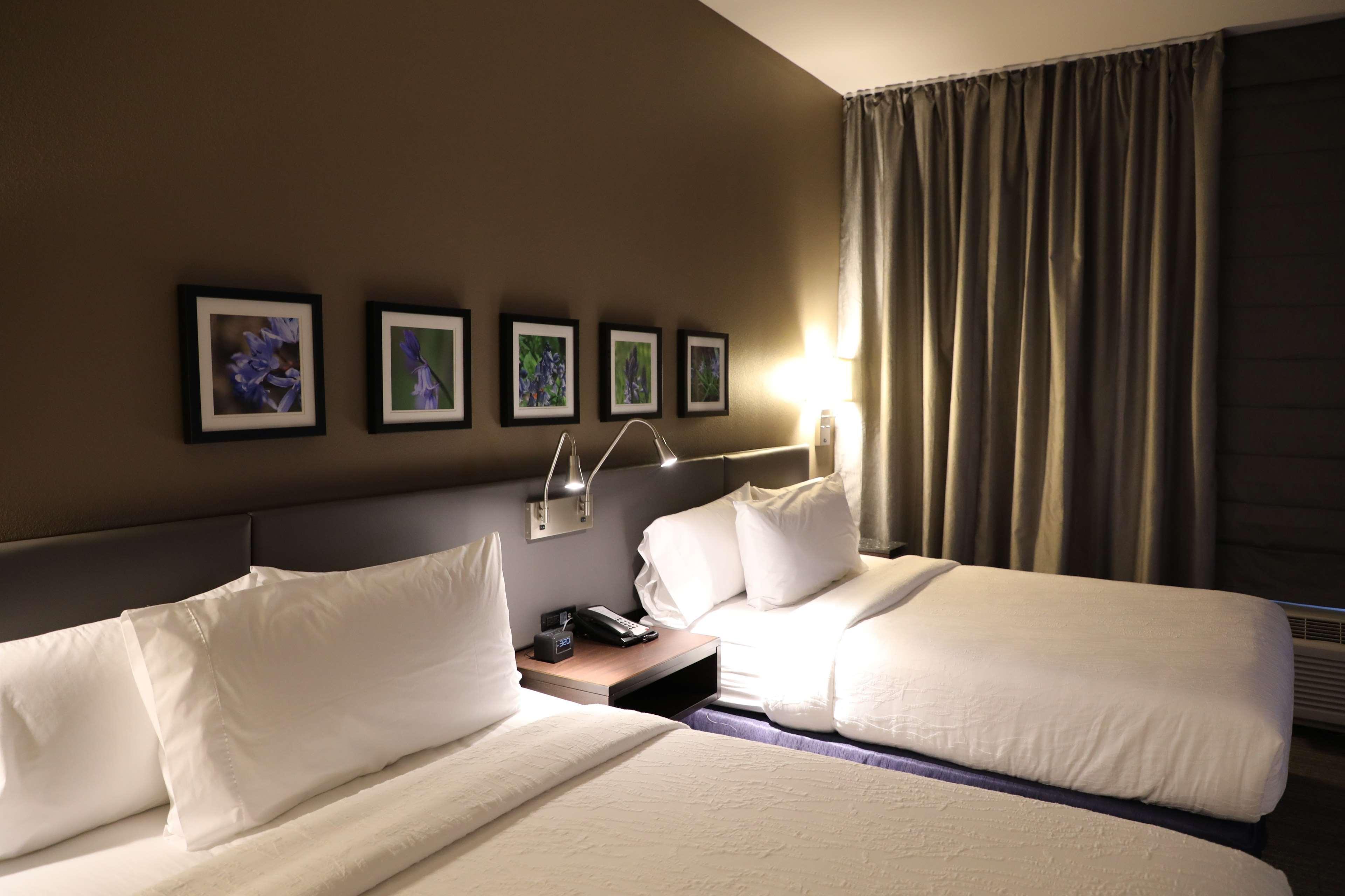 Hilton Garden Inn Austin Airport Exteriör bild