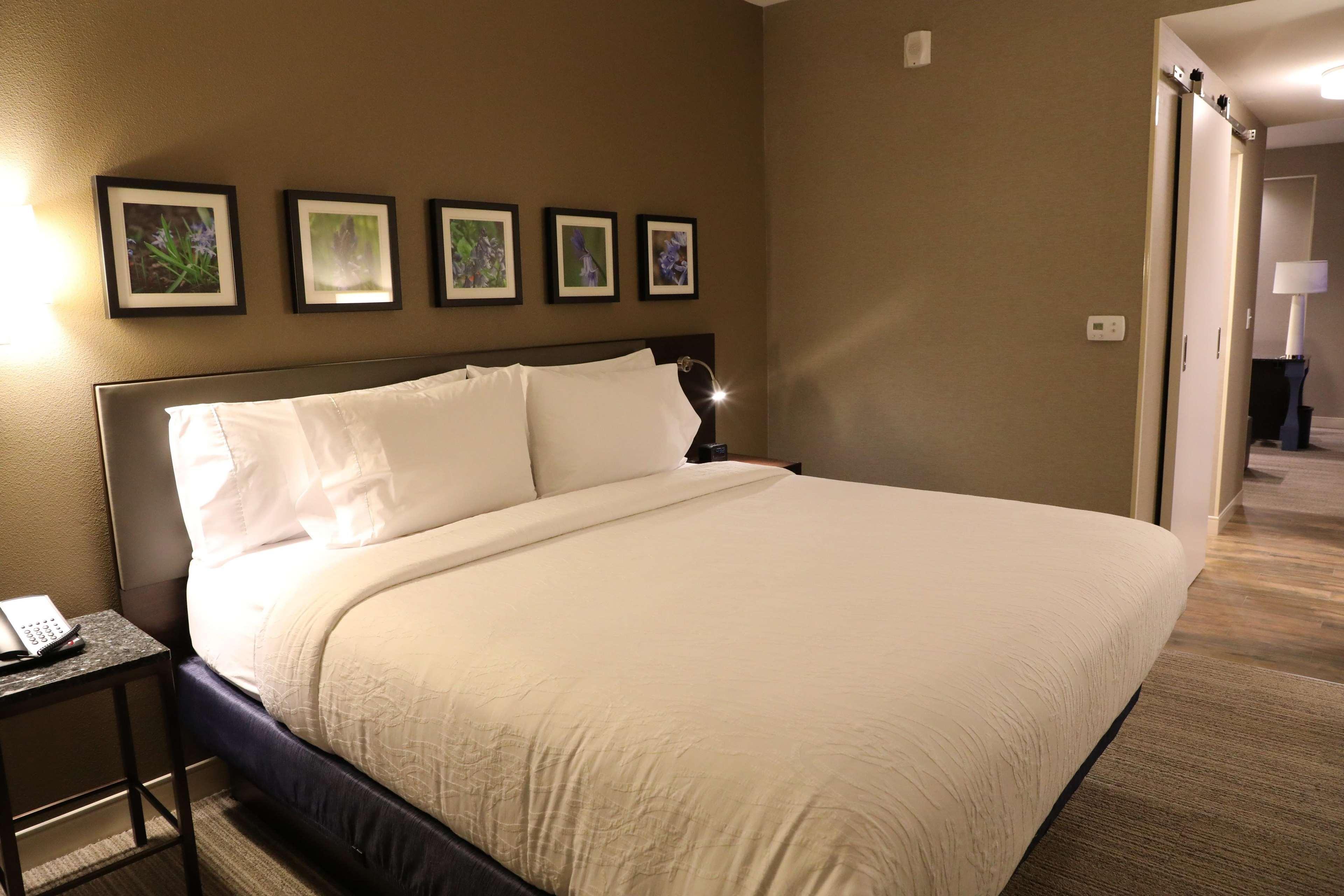 Hilton Garden Inn Austin Airport Exteriör bild